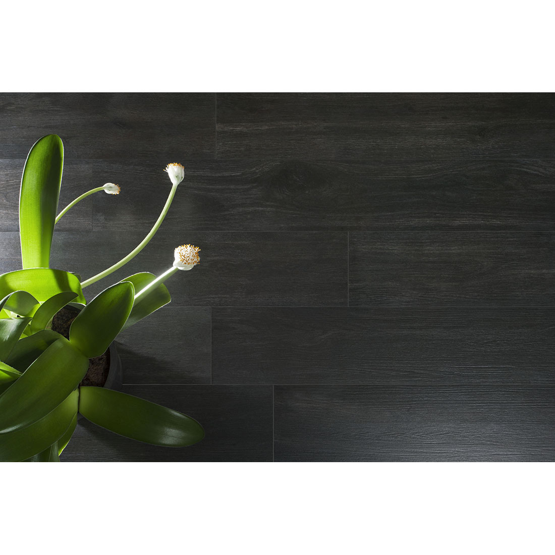 DSL-Hardwood-20120-Nero-Room.jpg